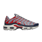 Nike Air Max Plus USA Grey