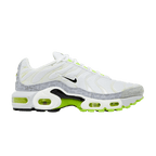 Nike Air Max Plus Retro Air Max Logos (GS)