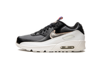 Air Max 90 LTR GS