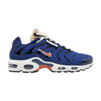 Nike Air Max Plus SE Air Max Running Club