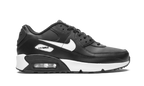 Air Max 90 LTR (GS)
