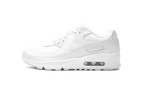 Air Max 90 Leather GS Triple