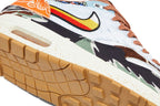 Nike Air Max 1 SP Concepts Heavy