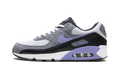 Air Max 90 "Light Thistle"