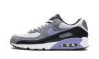 Air Max 90 "Light Thistle"