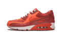Air Max 90 QK "STEVE NASH"