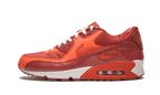 Air Max 90 QK "STEVE NASH"