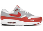 Nike Air Max 1 Martian Sunrise