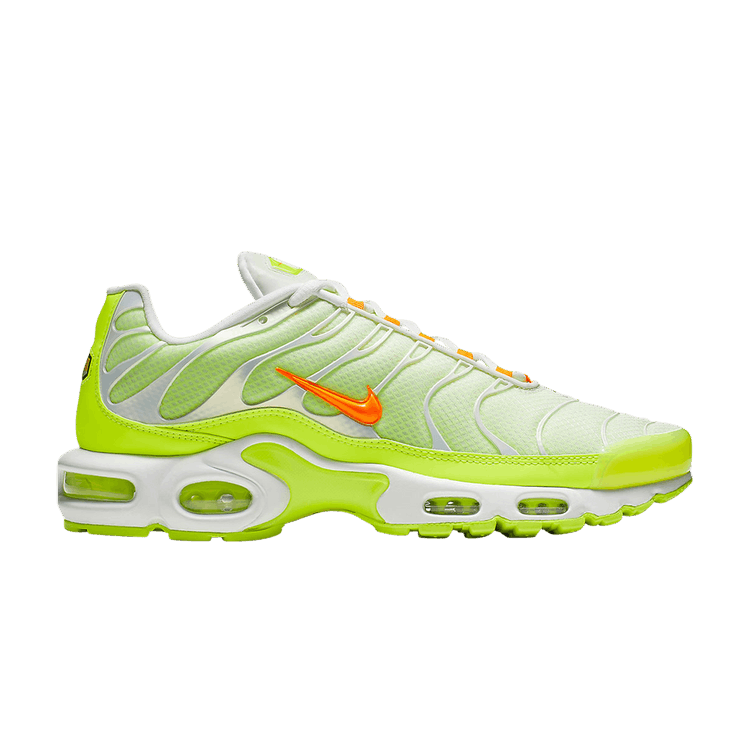 Nike Air Max Plus Color Flip Pack Grape