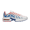 Nike Air Max Plus 3D Glasses (GS)