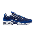 Nike Air Max Plus Arctic Chill