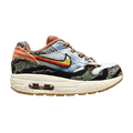 Nike Air Max 1 SP Concepts Heavy (PS)