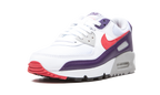 Air Max 90 WMNS "Eggplant"