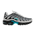 Nike Air Max Plus One Block Down Matte Silver