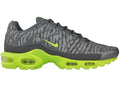 Nike Air Max Plus Reflective Zebra Grey