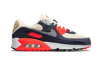 AIR MAX 90 DHM "Denham"