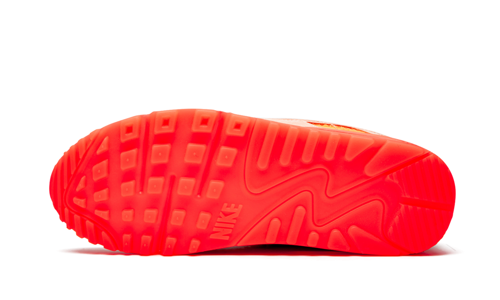 AIR MAX 90 PRM WMNS "Platinum Crimson/Bright Purple"