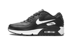 Air Max 90 LTR (GS)