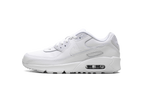 Air Max 90 GS "White Metallic Silver"