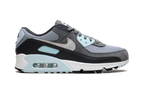 Air Max 90 "Pumice"