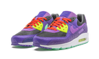 Air Max 90 "Animal Pack - Violet Blend"