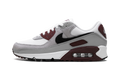 Air Max 90 "Dark Team Red'"
