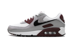 Air Max 90 "Dark Team Red'"
