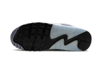 Air Max 90 "Ashen Slate"