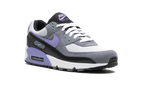 Air Max 90 "Light Thistle"