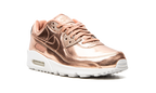 AIR MAX 90 WMNS "Metallic Pack - Rose Gold"