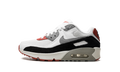 Air Max 90 GS "LTR Photon Dust Varsity Red"