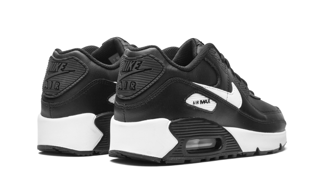 Air Max 90 LTR (GS)