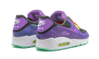 Air Max 90 "Animal Pack - Violet Blend"