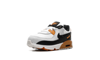 Air Max 90 LTR TD "PURE PLATINUM"