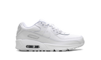 Air Max 90 GS "White Metallic Silver"
