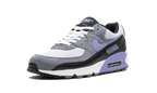 Air Max 90 "Light Thistle"