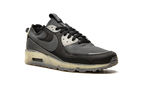 Air Max 90 Terrascape "Black Lime Ice"