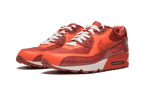 Air Max 90 QK "STEVE NASH"