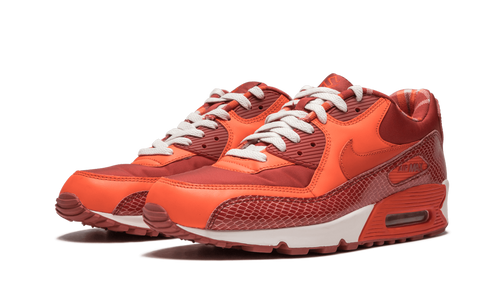 Air Max 90 QK "STEVE NASH"