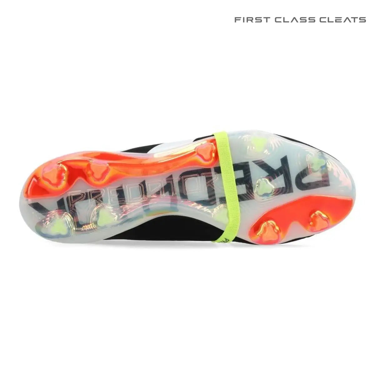 Predator Elite FT FG Solar Energy
