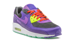 Air Max 90 "Animal Pack - Violet Blend"