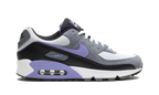 Air Max 90 "Light Thistle"