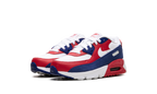 Air Max 90 PS "USA"