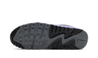 Air Max 90 "Light Thistle"
