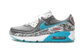 AIR MAX 90 MNS WMNS "Rice Ball"