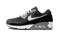 Air Max 90 "Off Noir"