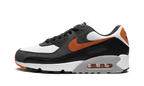 Air Max 90 "Starfish"